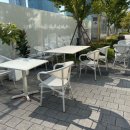 313 | 송도베이커리카페 비건빵을 판매하는 루트313 후기