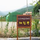소호체험휴양마을체험관 네이버블로그