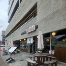 태화강 국가정원 코스 | 울산 데이트 코스 태화강국가정원 맛집 백온장에서 뽀얀 명란크림우동 먹은 후기