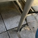 수도식당 이미지