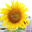 호남선 농장 이미지