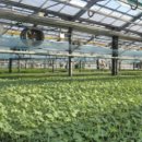 병건농장 이미지