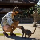 (주)로얄문화투어 이미지