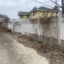 내가면-5 | 강화도 내가면 전원주택 관리 : 바다뷰를 가린 잡초와 칡넝쿨, 답사로 정밀 진단하다