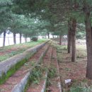 현천초등학교 이미지