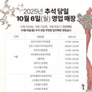 다이소수원프리미엄