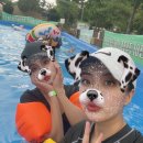 나린오토캠핑장 이미지