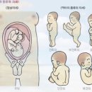 부산대학병원 이미지