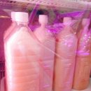 행복한정육마트