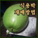 우만동족발집율전점