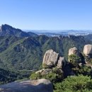 아름다운 동행 이미지