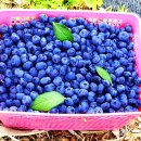 우원농장 이미지