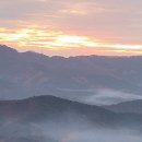 나봄이네 이미지