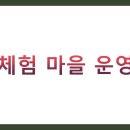 도농문화교류영농조합법인 | 농촌 체험 마을 운영 방법 BEST 5 총정리 (수익창출, 체험프로그램, 마케팅전략)