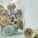 페일블루닷 이미지