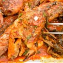 황금코다리 소룡점 이미지