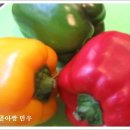 고추세개