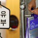 카시가 이미지