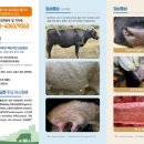 병을농장 이미지