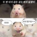 250606 에투메 82신드롬 첫콘 후기