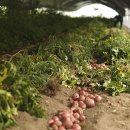 다올농장 이미지