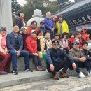 미혜농장 이미지