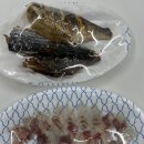 원실내바다낚시 네이버블로그
