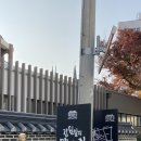 마당깊은집 김원도 이미지