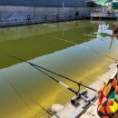 신가리낚시터 이미지