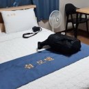 쉼모텔2 이미지