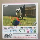 도그팡팡 이미지