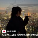 씨유운서스카이점 | 도쿄 랜드마크 시부야 스카이 전망대 예약 야경 시간 관람 총정리