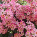 점촌중학교 이미지