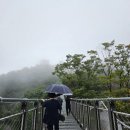 운양생태공원 | [김포 가볼만한 곳] 애기봉 평화 생태공원 / 전망대 / 스타벅스 / 예약 방법