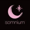 솜니움(somnium_nail) 네이버블로그