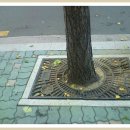 성광실업 이미지