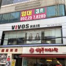 비보스헤어