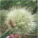 인경농장 이미지