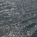 화본~이지간 테마도로 | [일상로그] 6월 휴일, 뚜벅이로 대부도 당일치기 여행 후기