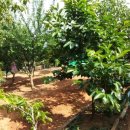 길원농장 이미지