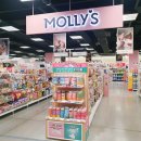 몰리스펫샵 풍산점 이미지