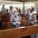 평화로06 이미지