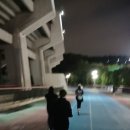 라온바디핏 이미지