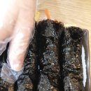 김밥앤김밥