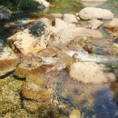 샬롬세탁 | 샬롬펜션에서 가족과 함께한 소백산 계곡 힐링 1박 2일 여행 후기