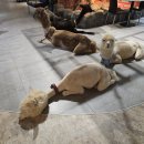 테이블에이 이미지