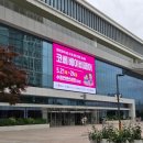 우리 안의 인종주의 | 수원 코베 베이비페어 컨벤션센터 주차 꿀팁과 후기