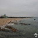 대진축산 티스토리
