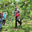 북충주농업협동조합 이미지