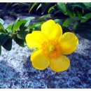 심광노인복지센터 이미지